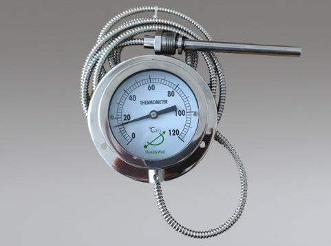 Remote reading thermometer with rear flange 221RF12122-2